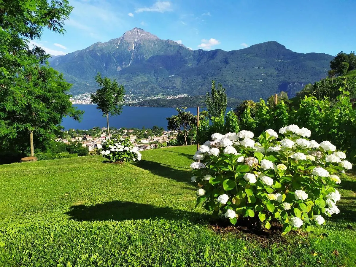 Campsite Camping Colle Vento Hotel Domaso