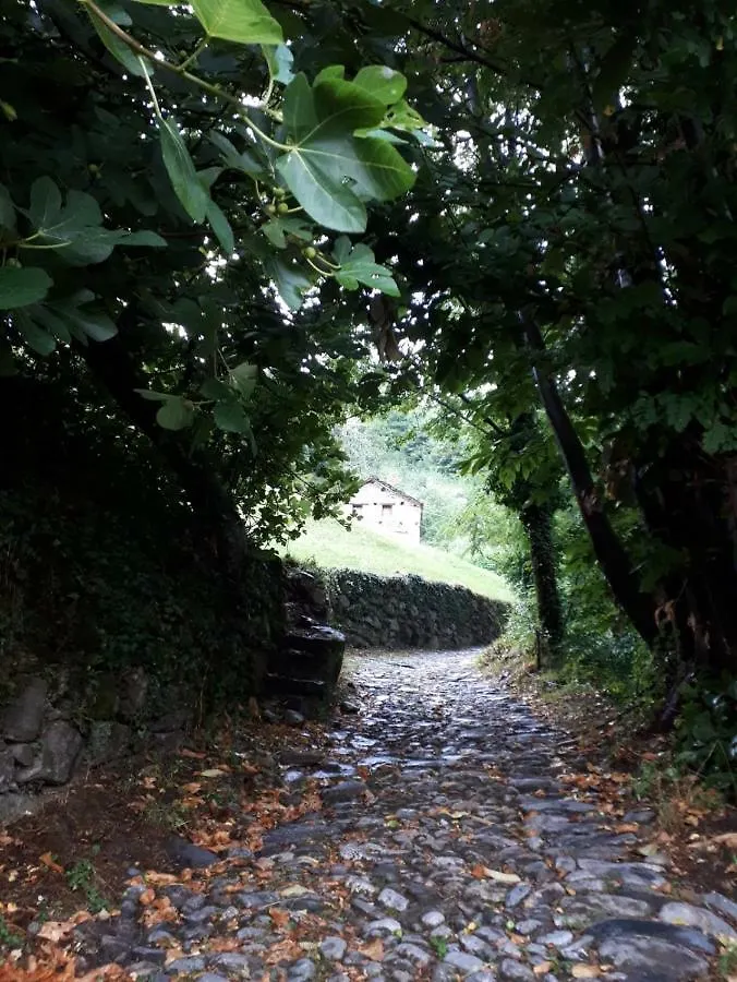 Camping Colle Vento Hotel Domaso 0*,